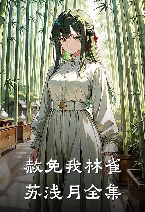 赦免我林雀苏浅月全集