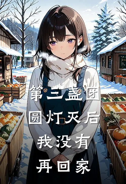 第三盏团圆灯灭后，我没有再回家