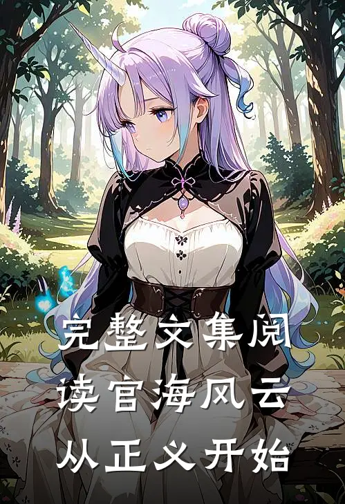 完整文集阅读官海风云：从正义开始