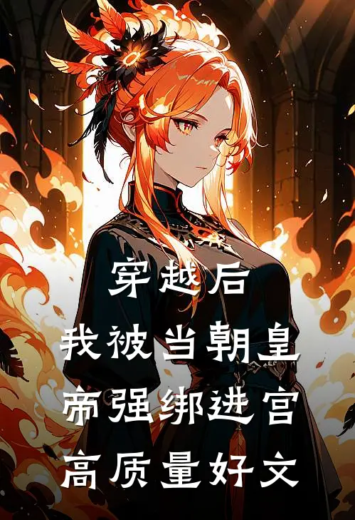 穿越后，我被当朝皇帝强绑进宫高质量好文
