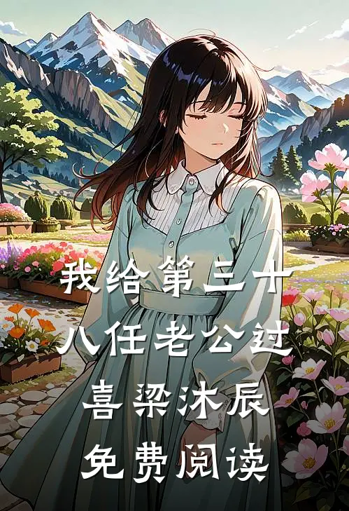 我给第三十八任老公过喜梁沐辰免费阅读