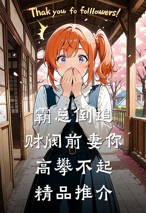 霸总倒追：财阀前妻你高攀不起精品推介