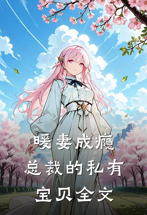 暖妻成瘾总裁的私有宝贝全文在线阅读