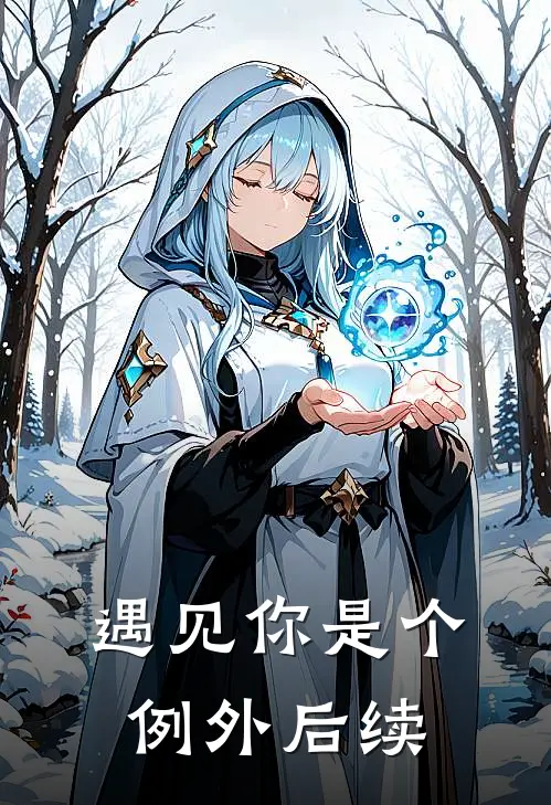 遇见你是个例外后续