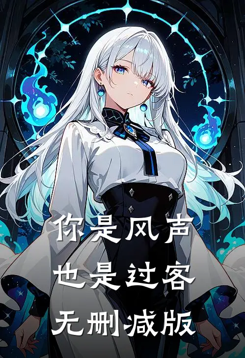 你是风声，也是过客无删减版