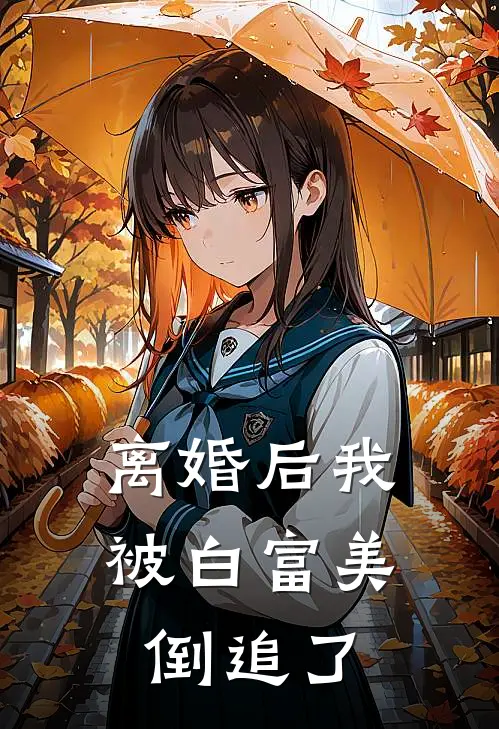 离婚后我被白富美倒追了