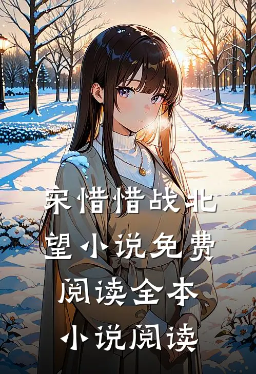 宋惜惜战北望小说免费阅读全本小说阅读