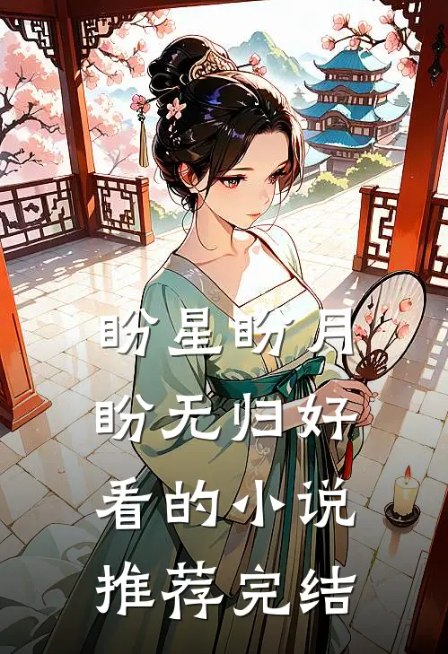 盼星盼月盼无归好看的小说推荐完结