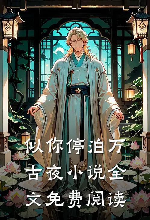 似你停泊万古夜小说全文免费阅读