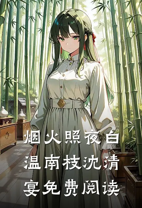 烟火照夜白温南枝沈清宴免费阅读