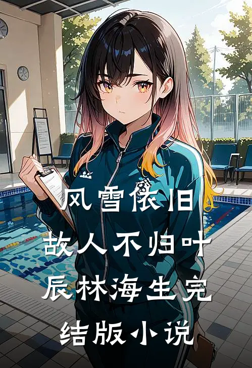 风雪依旧，故人不归叶辰林海生完结版小说