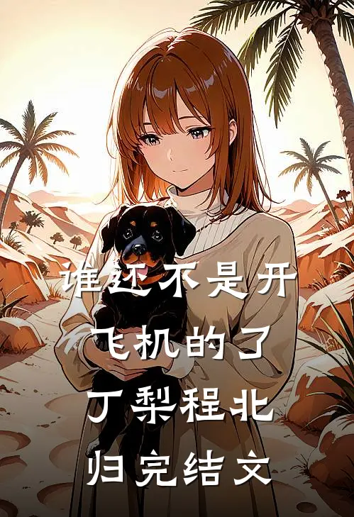 谁还不是开飞机的了丁梨程北归完结文