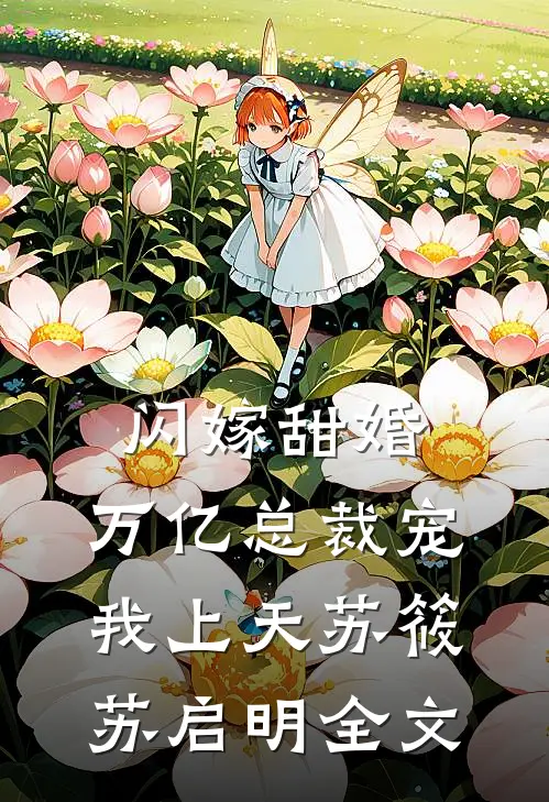 闪嫁甜婚,万亿总裁宠我上天苏筱苏启明全文