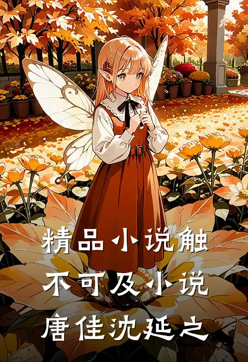 精品小说触不可及小说唐佳沈延之