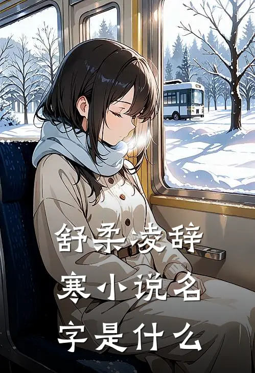 舒柔凌辞寒小说名字是什么