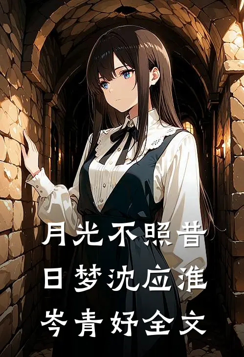 月光不照昔日梦沈应淮岑青妤全文