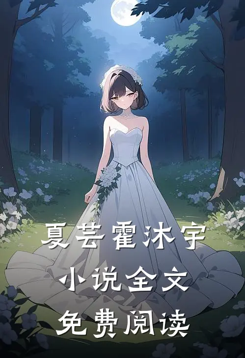 夏芸霍沐宇小说全文免费阅读