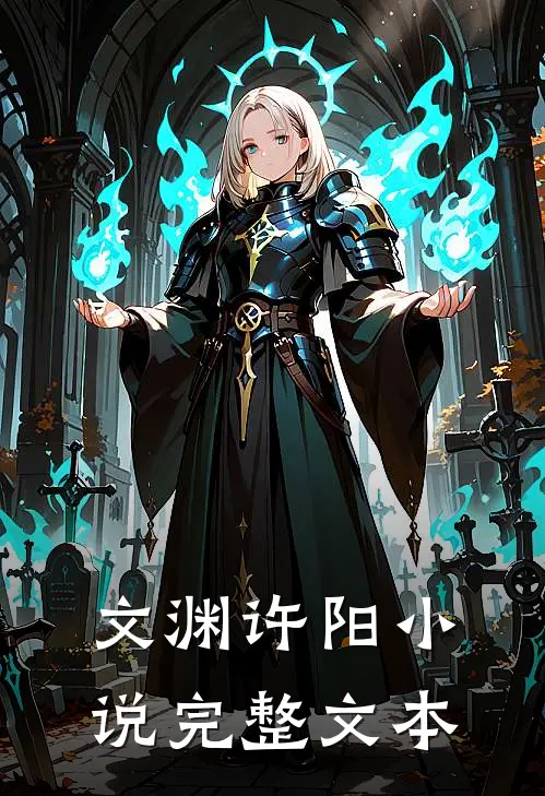 文渊许阳小说完整文本
