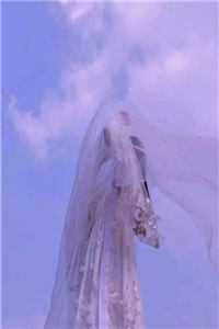 妻子要去衡河洗涤灵魂完本