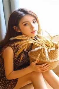 她寄人间满星河番外