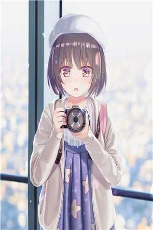 未寄出的青鸟诀别书爽文