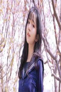 多年圆房他不肯，随军一晚就憋疯好看的小说推荐完结