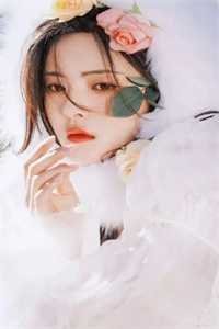 未寄出的青鸟诀别书完本