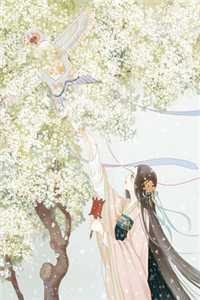 新婚闹剧后，我成了前未婚夫的娘小说免费阅读