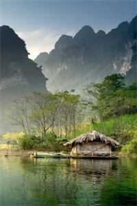 重生后，我让小白蛇自生自灭广告+结局