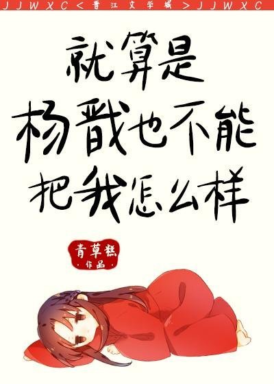 安检风波宋志远李佳惠全篇